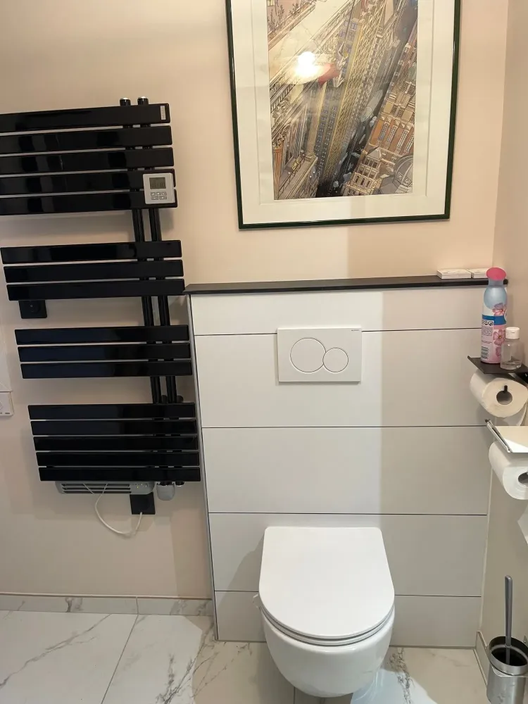 renovation-toilettes